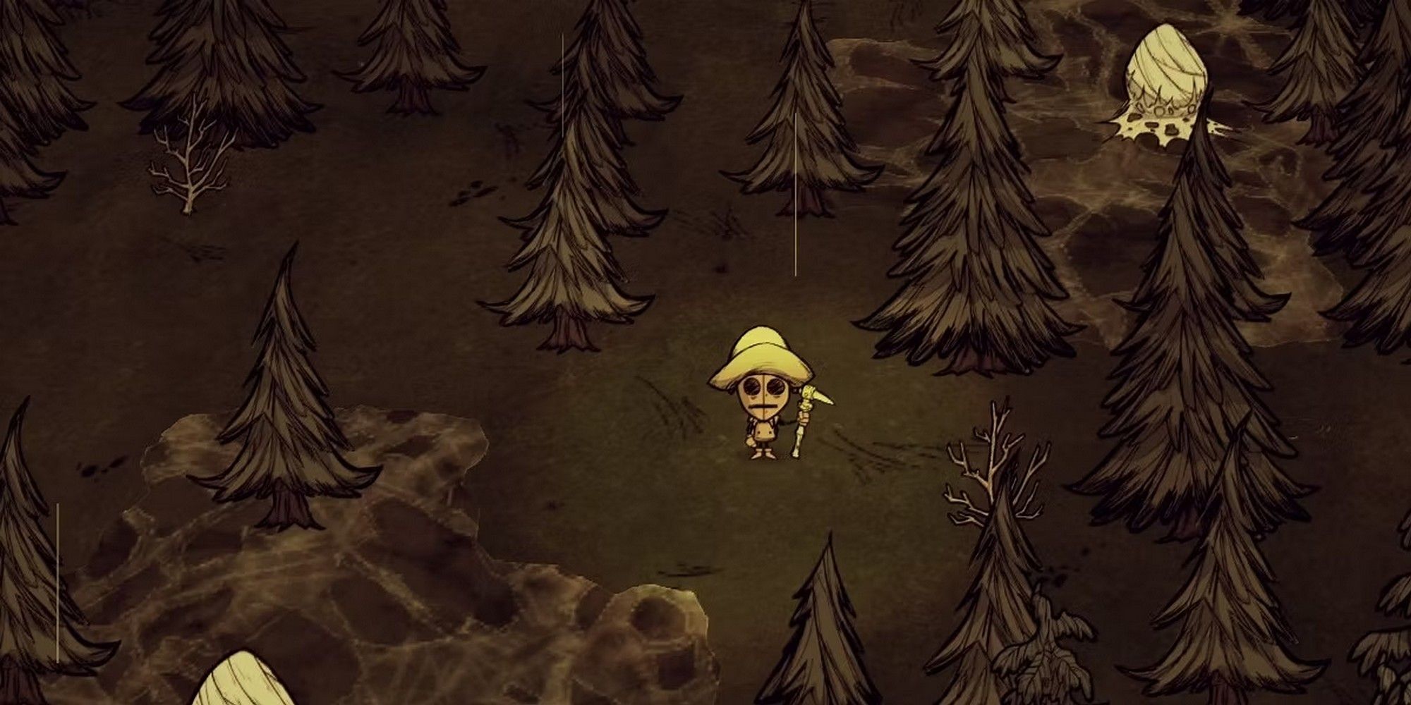 forest in don't starve together best biome for base