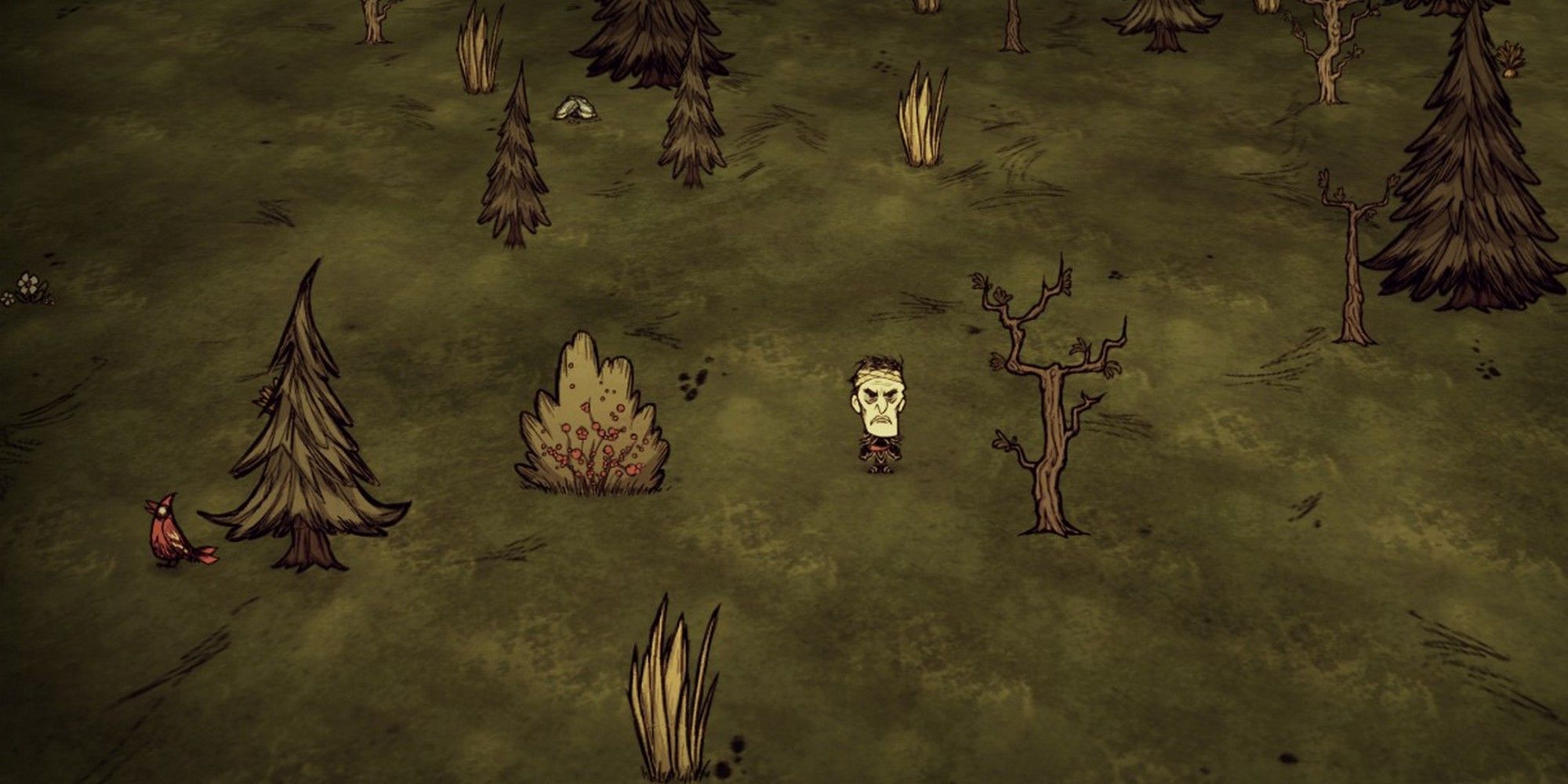 grassland biome with birds, grass, and berry bushes in don't starve together best biome for base