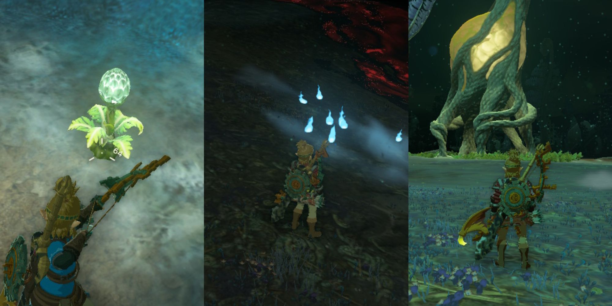 Legend of Zelda Tears of the Kingdom, Best ways to collect poes featured article, featuring a brightbloom, link staring at some poes, and a lightroot