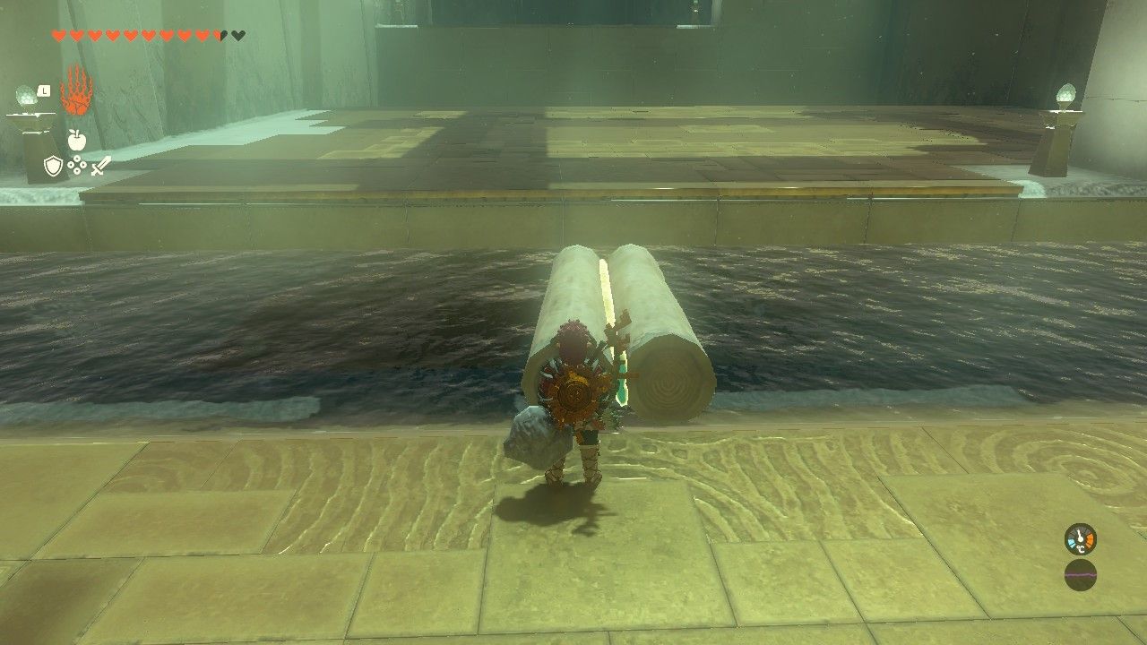 Link in front of a raft made of two logs in The Legend of Zelda Tears of the Kingdom