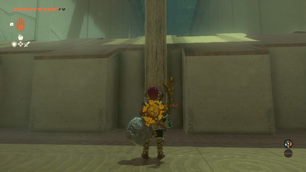 Link in front of an upright log in The Legend of Zelda Tears of the Kingdom