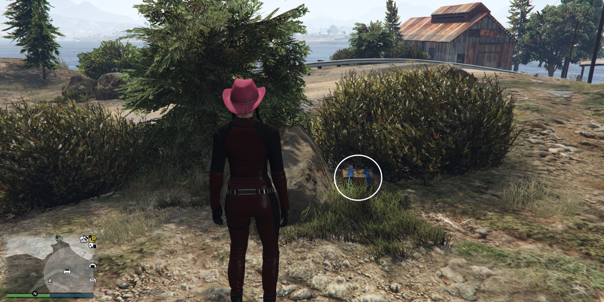 Image depicts a female character in GTA Online at Millar's Fishery stood in front of some bushes and a rock. In the background there is one of the boat houses looking over the ocean. G's Cache is sat on the floor next to the rock, and in front of the bushes.