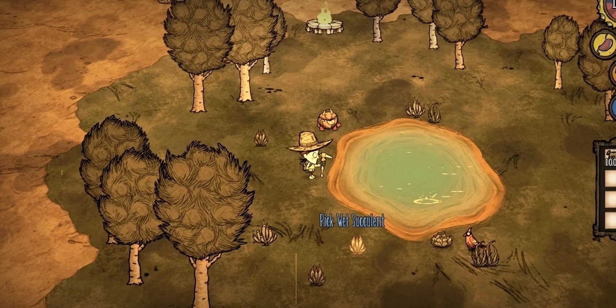 oasis desert don't starve together best biome for base