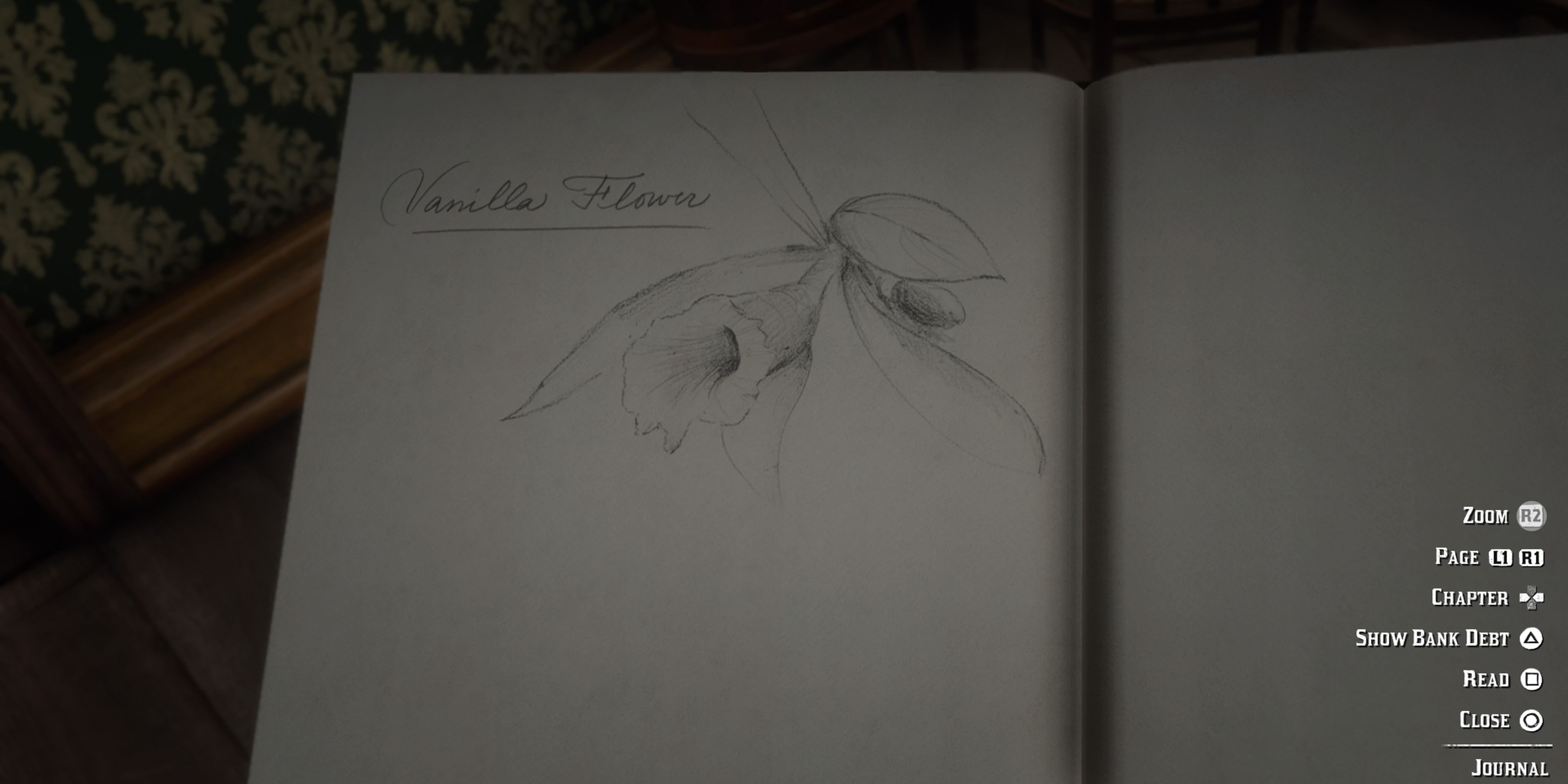 a highly detailed drawing of a vanilla flower