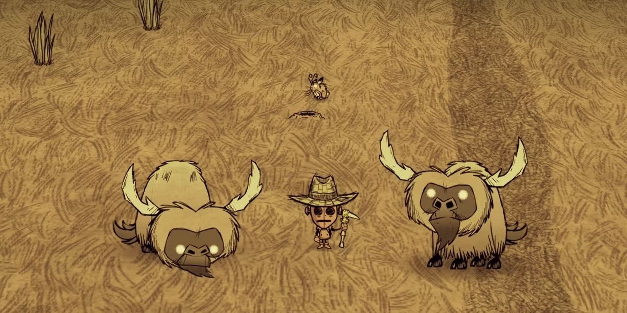savana biome with a handful of beefalo and a rabbit don't starve together best base location