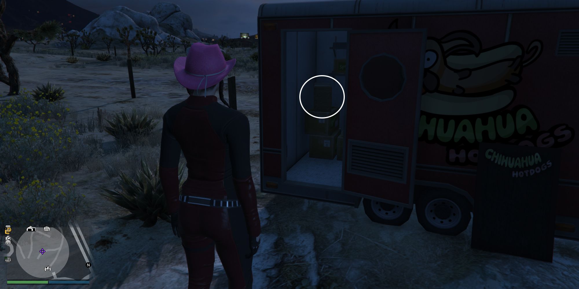 Image depicts a female character in GTA Online at Senora National Park stood outside of the 'Chihuahua Hotdogs' van in the middle of the desert area. Inside the van, there are a stack of boxes, with G's Cache being on top of these.