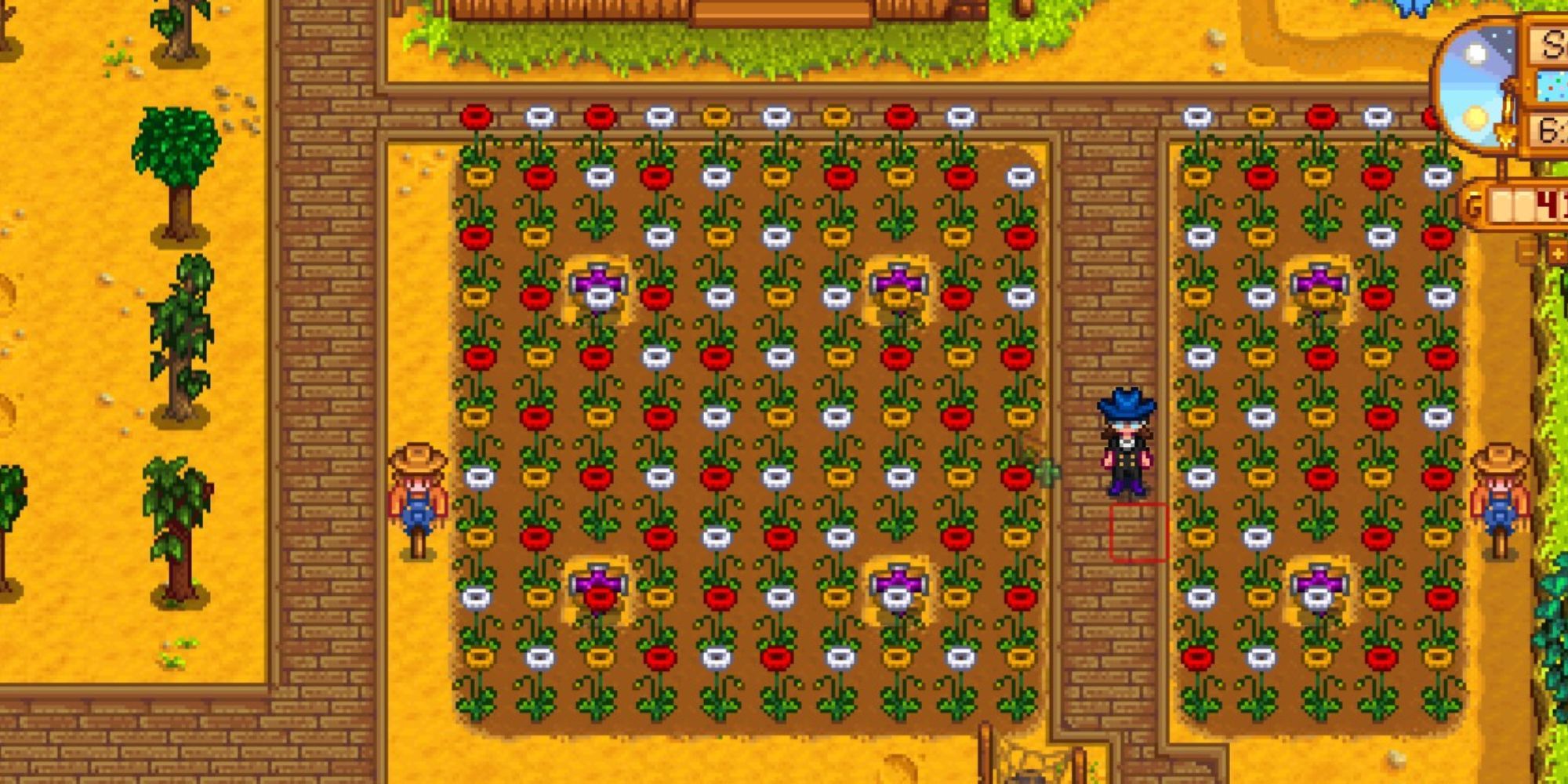 Many poppy flowers in a Stardew Valley farm with paths