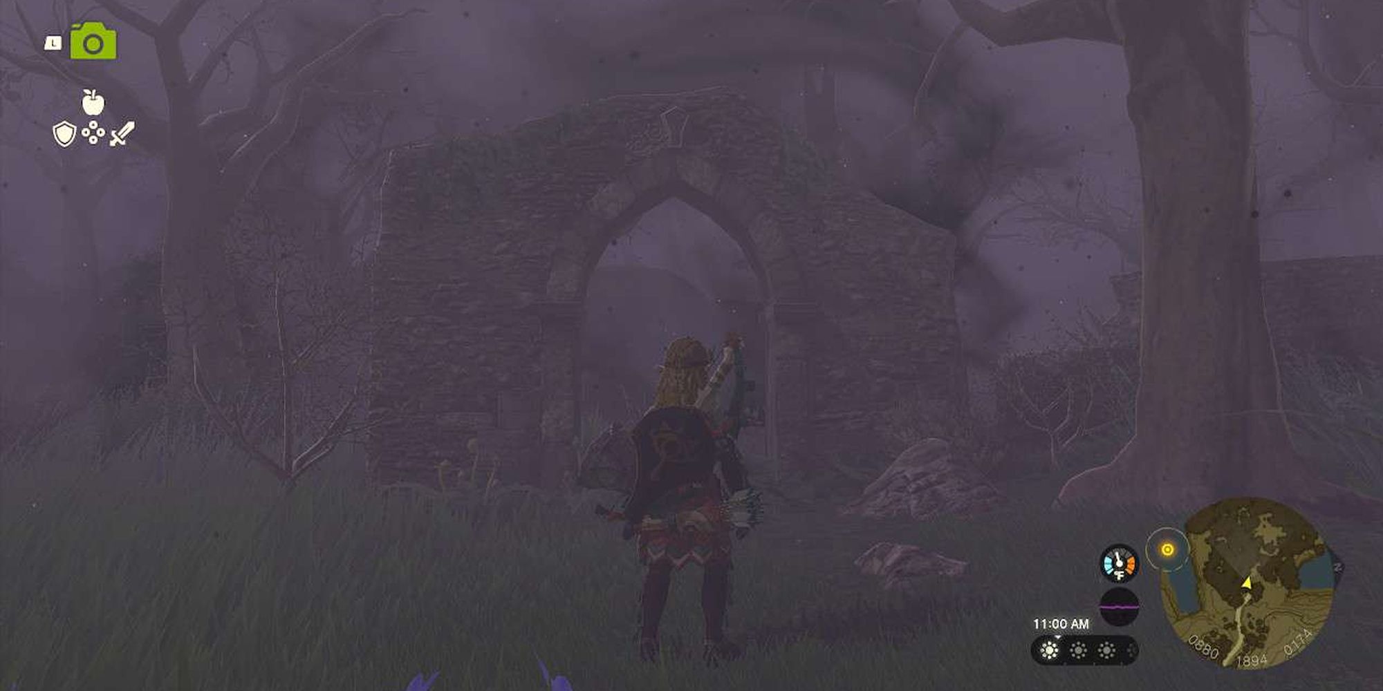 Tears Of The Kingdom Entering The Great Hyrule Forest