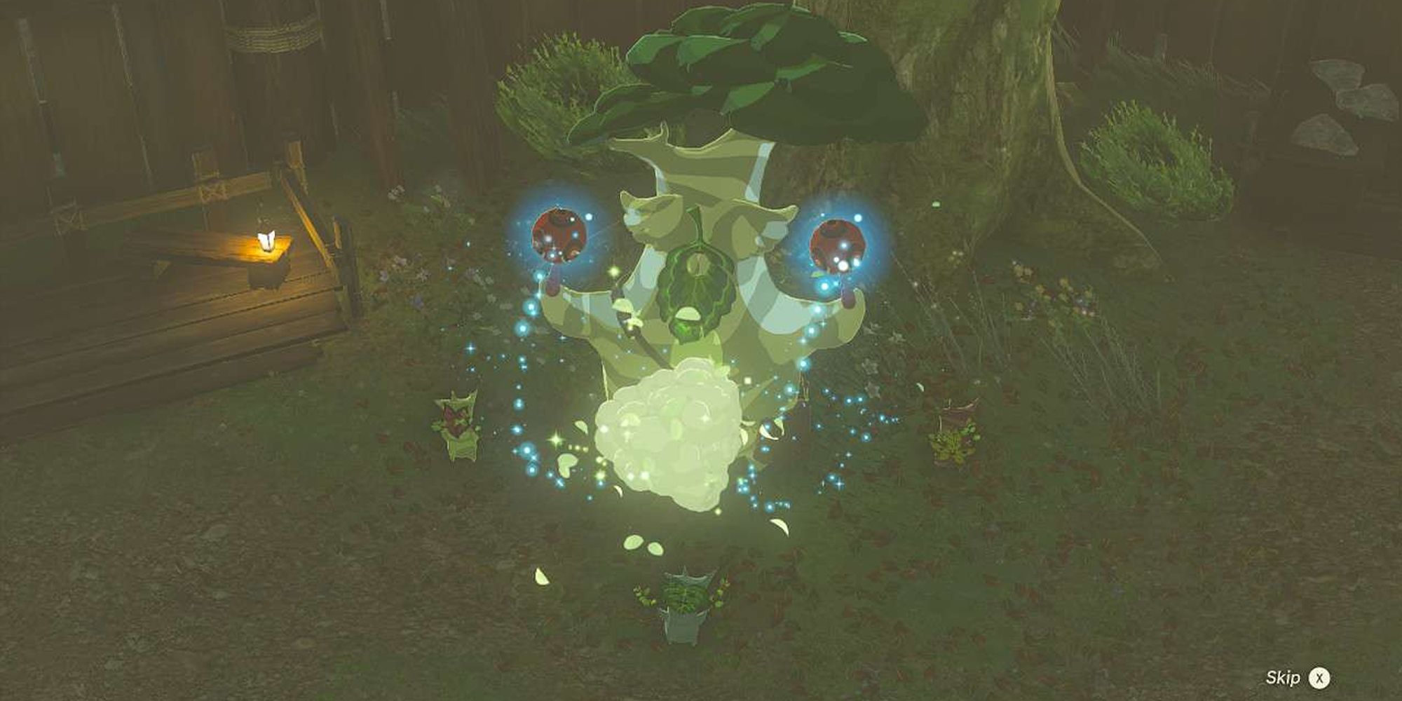 Tears Of The Kingdom Hestu Shield Dance