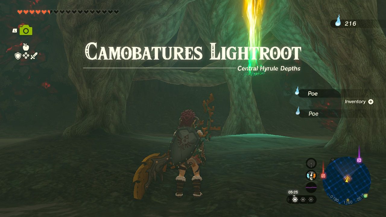 Tears of the Kingdom - Lightroot under Hyrule Castle