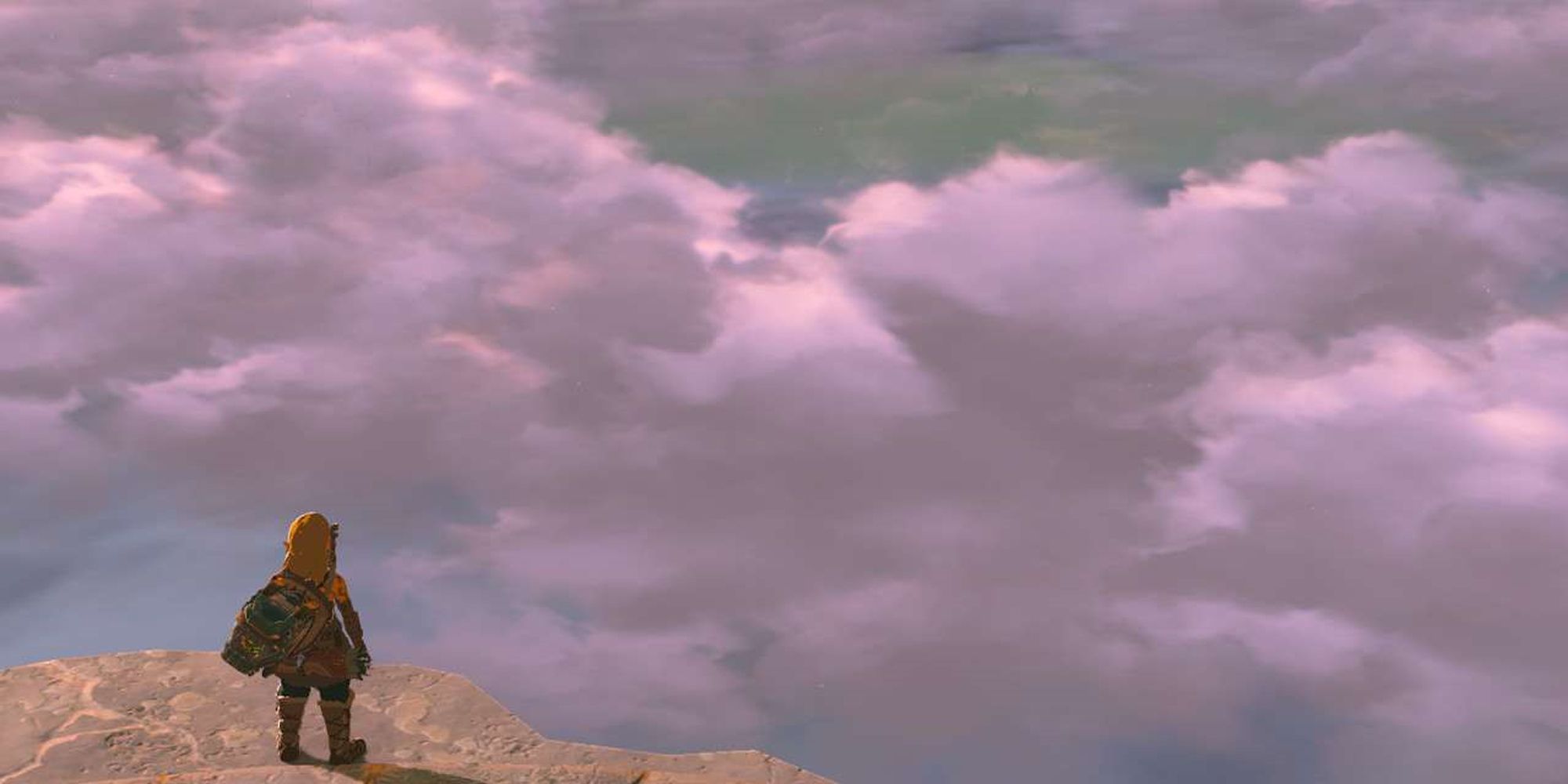 Tears Of The Kingdom Link Looking Out At Hyrule