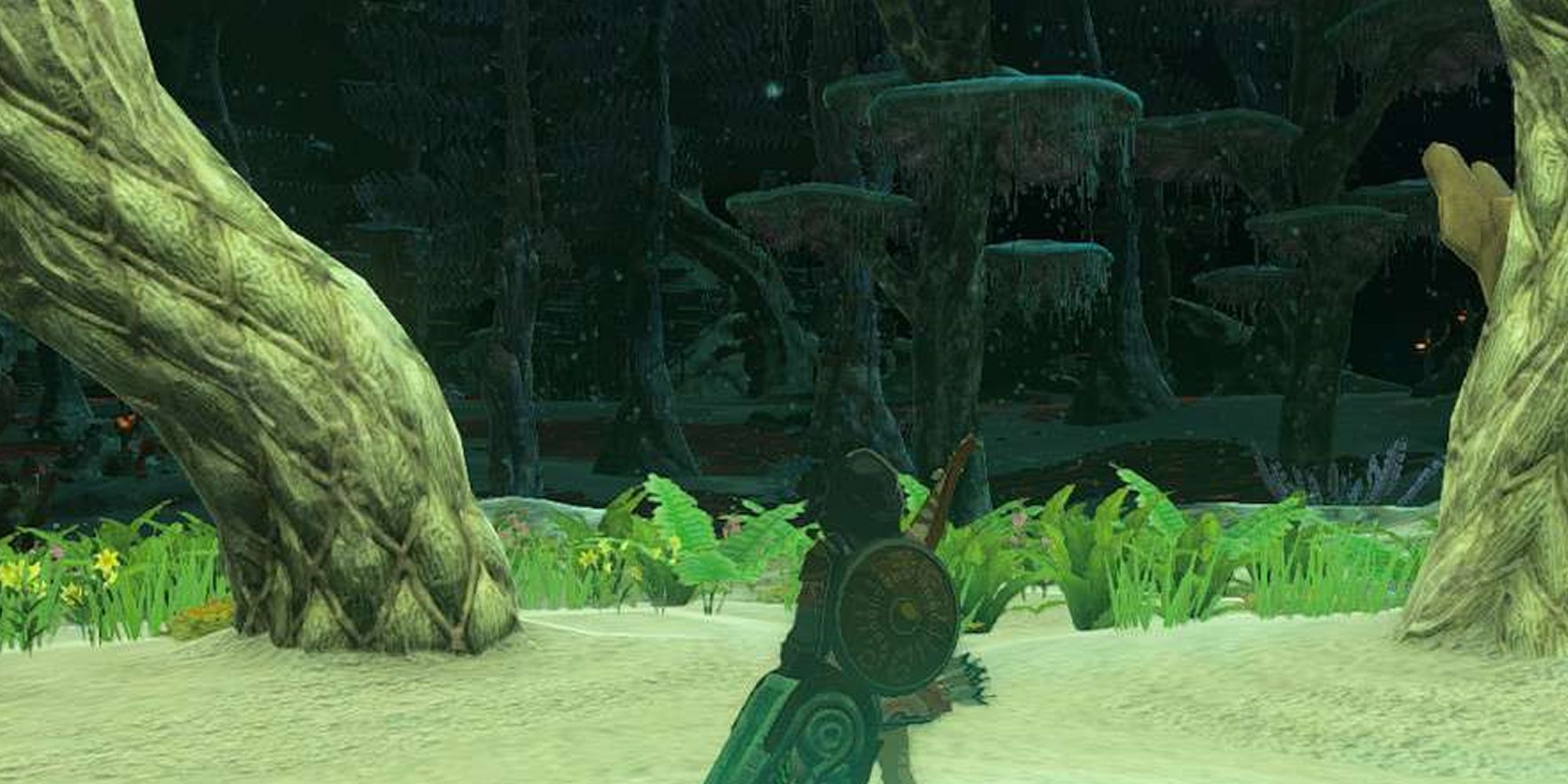 Tears Of The Kingdom Link Looks Out At The Depths