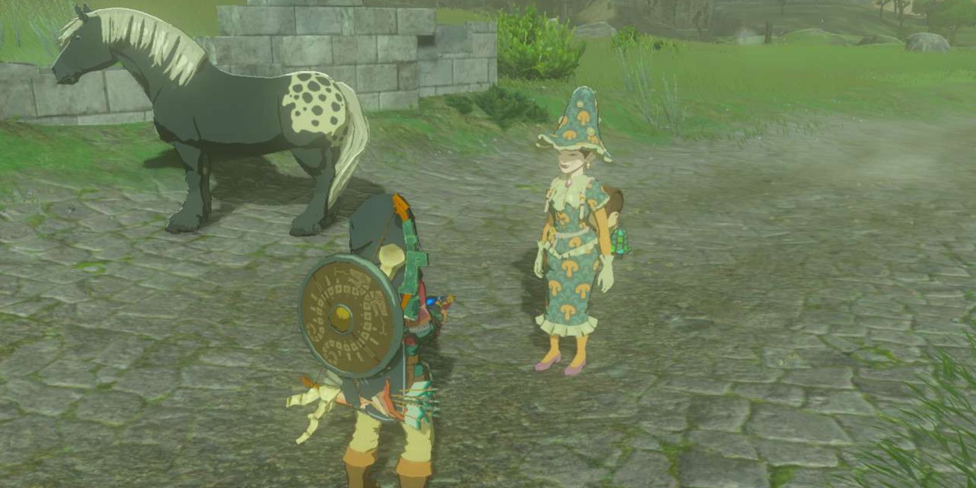 Tears Of The Kingdom Link Meeting Meeshy