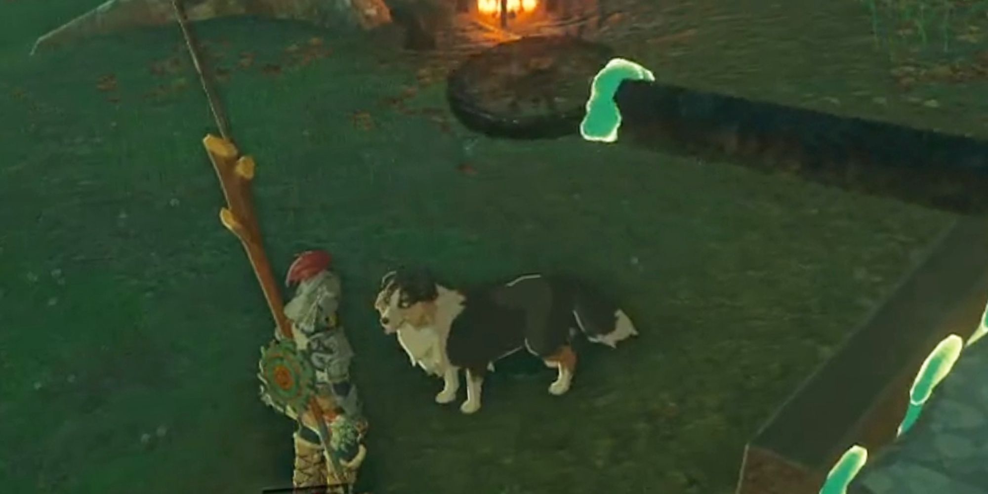 Tears of the Kingdom petting the dog with a machine
