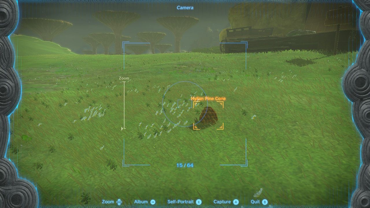 the camera highlighting a hylian pine cone white goats gone missing totk tears of the kingdom