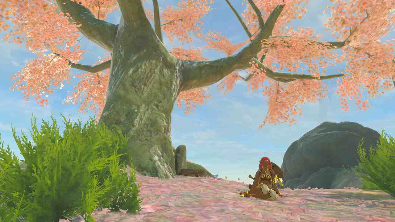 the gerudo woman sitting beneath the cherry blossom tree on mount satori fruit bowl cave location guide bubbul gems tears of the kingdom search for koltin guide
