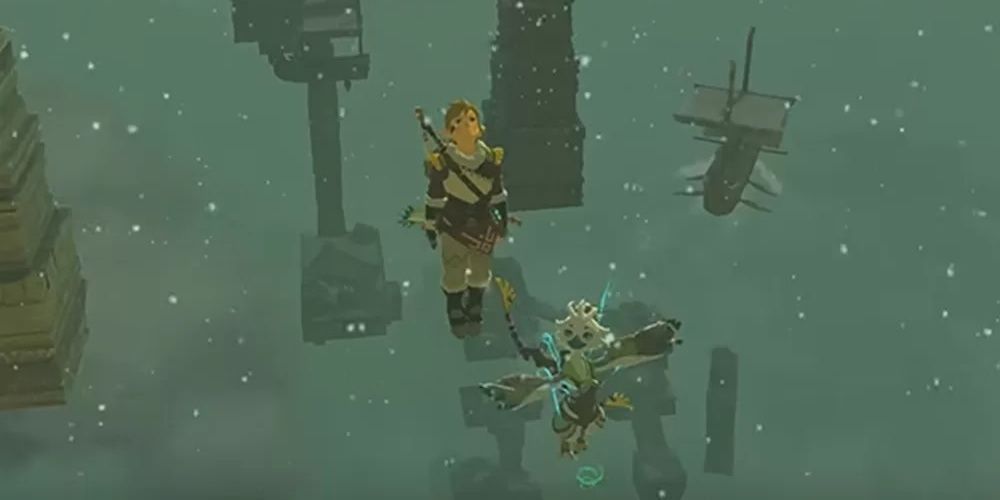 Link and Tulin flying up through the sky in The Legend of Zelda: Tears of the Kingdom the video game
