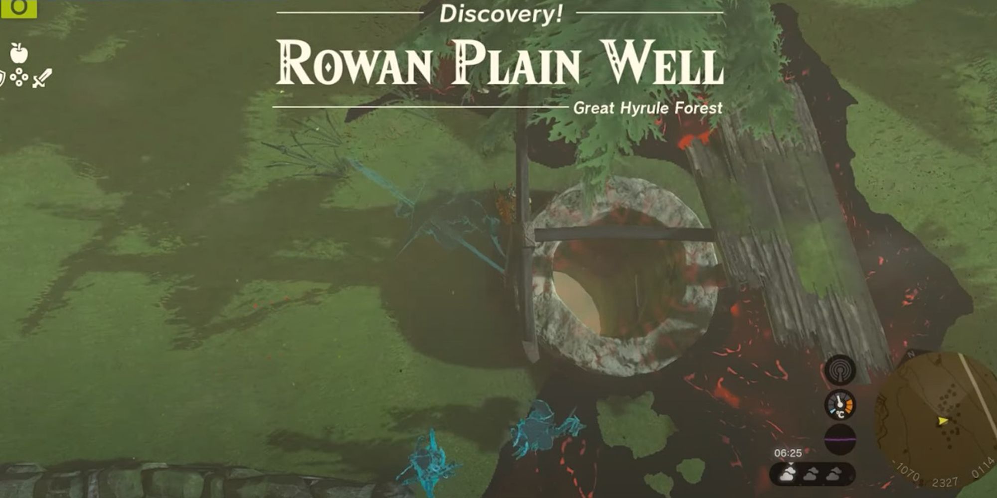 The Legend Of Zelda: Tears Of The Kingdom - Rowan Plain Well