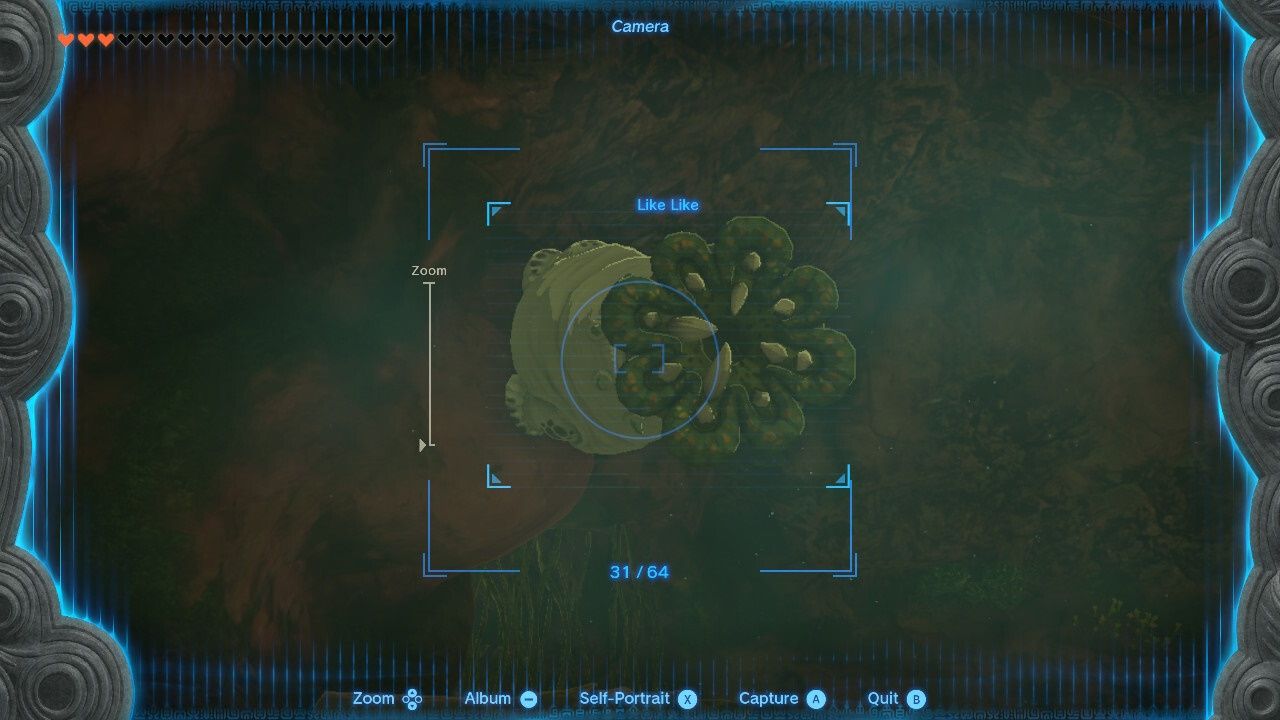 The Legend of Zelda Tears of the Kingdom, The Like Like along the side