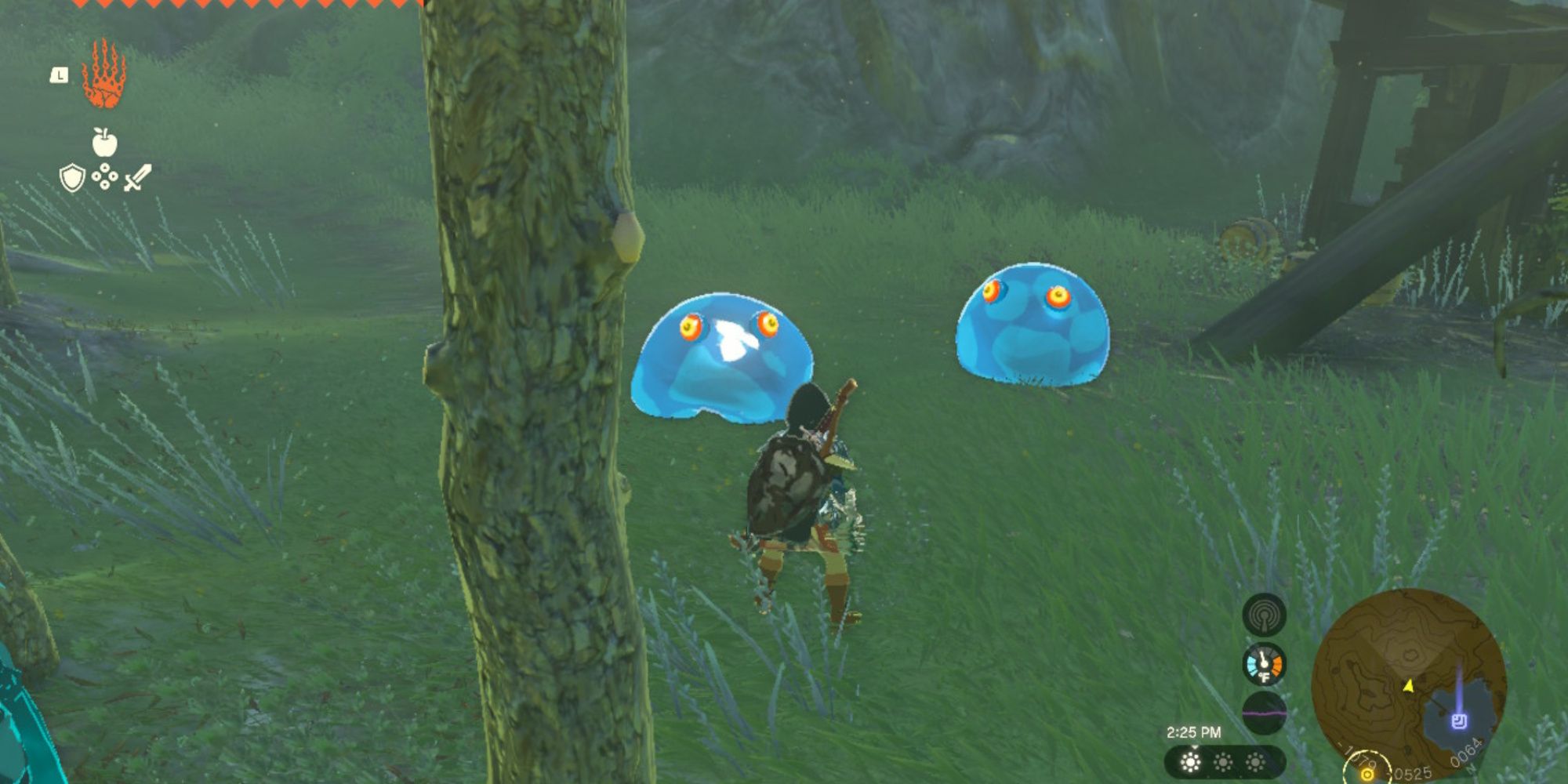 the legend of zelda tears of the kingdom two chuchu jellies rolling toward link in Hyrule Forest