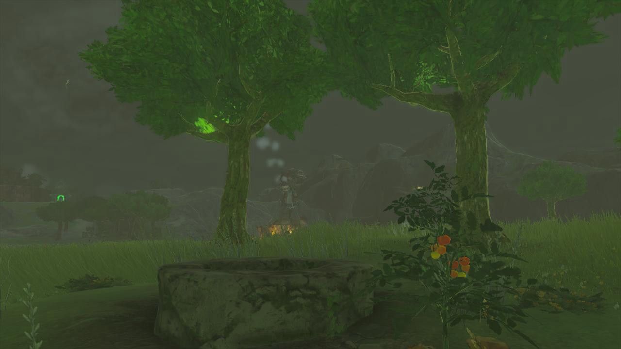 the location of the well for an eerie voice quest in tears of the kingdom potential princess sightings totk