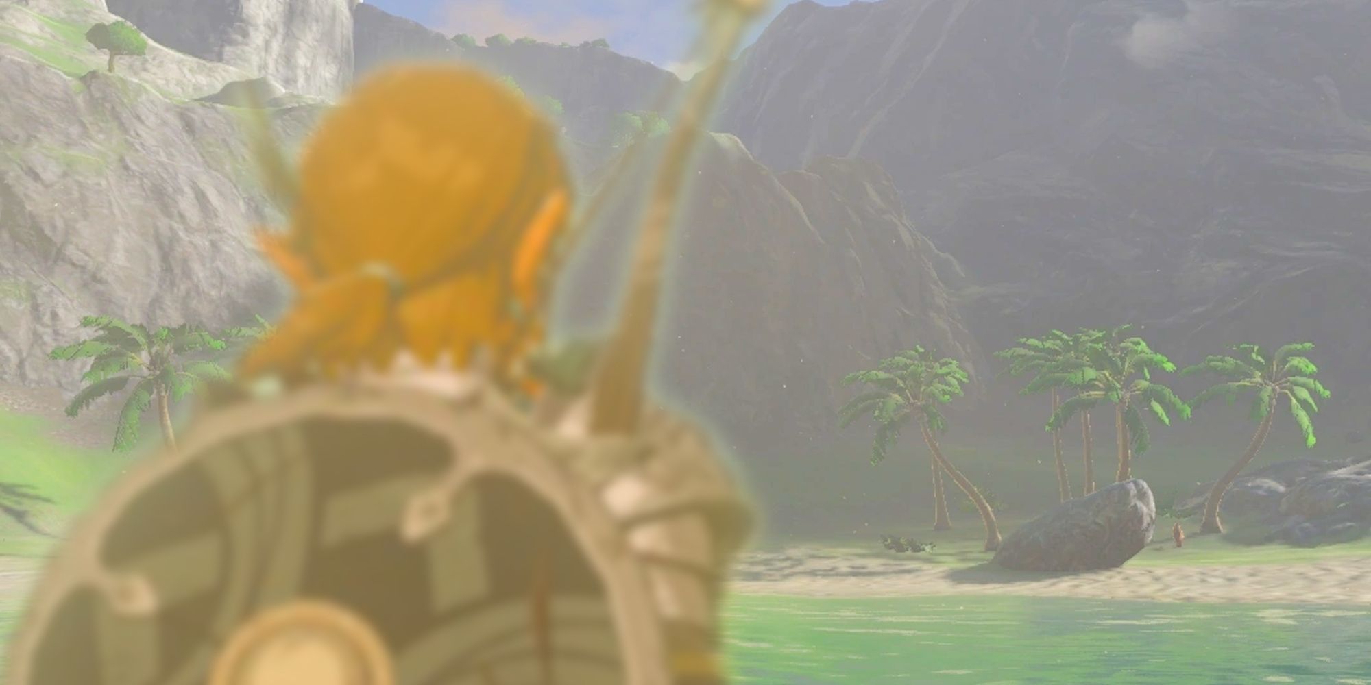 Link looking at a beach in TOTK