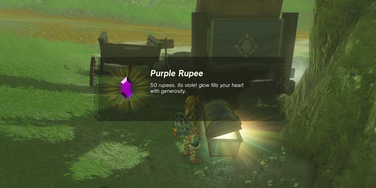 Link receives a purple rupee in The Legend of Zelda Tears of the Kingdom.