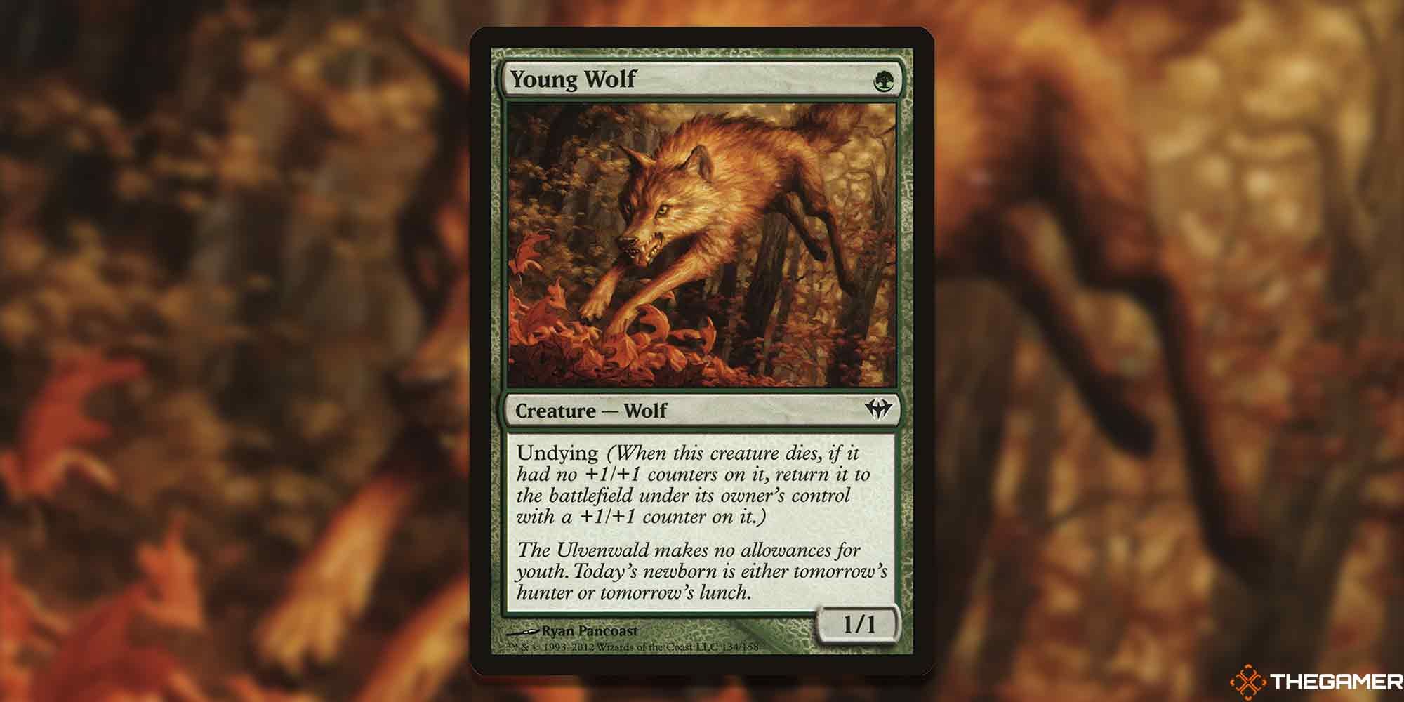 Young Wolf