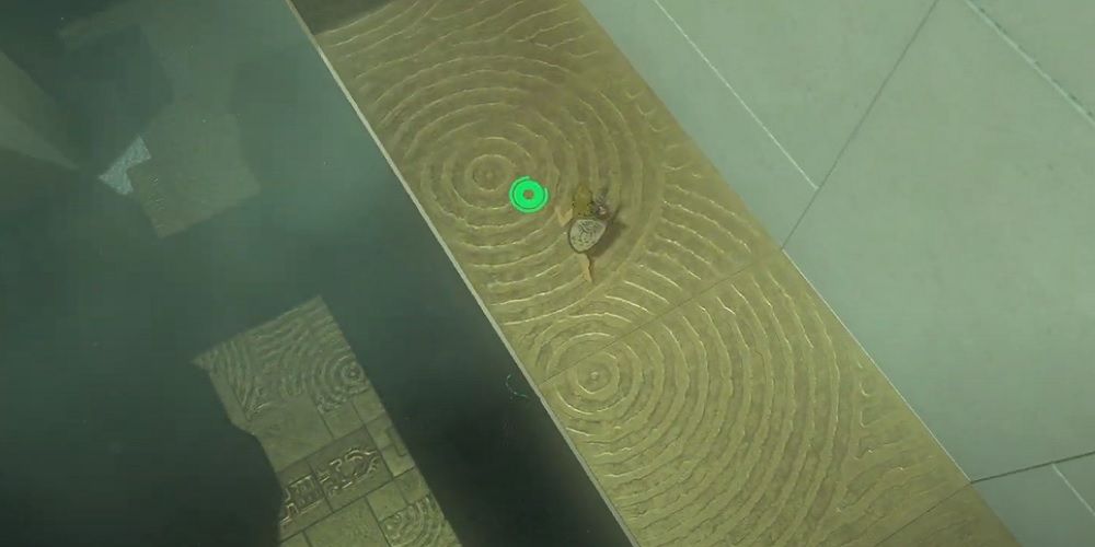 Zelda Tears Of The Kingdom Eutoum Shrine Ascent
