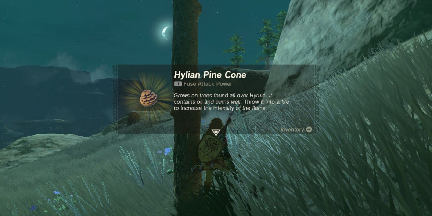 zelda tears of the kingdom hylian pine cone