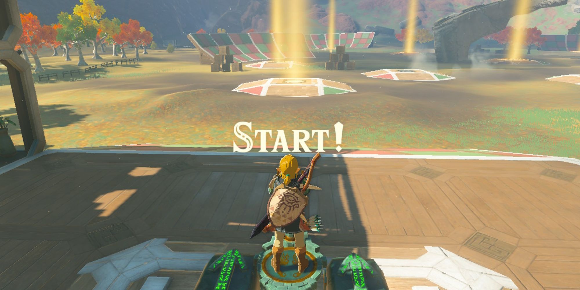 Zelda Tears Of The Kingdom - Link Doing A Race