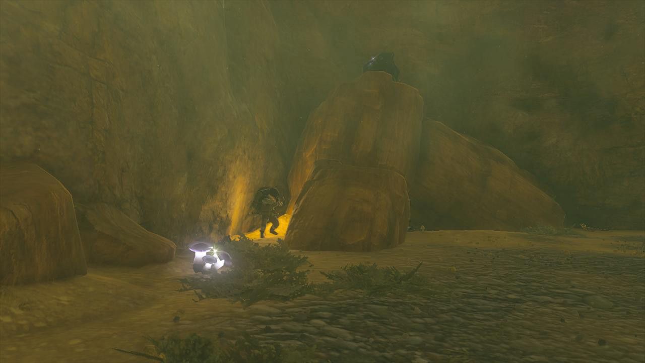 Link Finds Botrick Behind Rock In Stalry Plateau Cave Hiding From Lizalfos