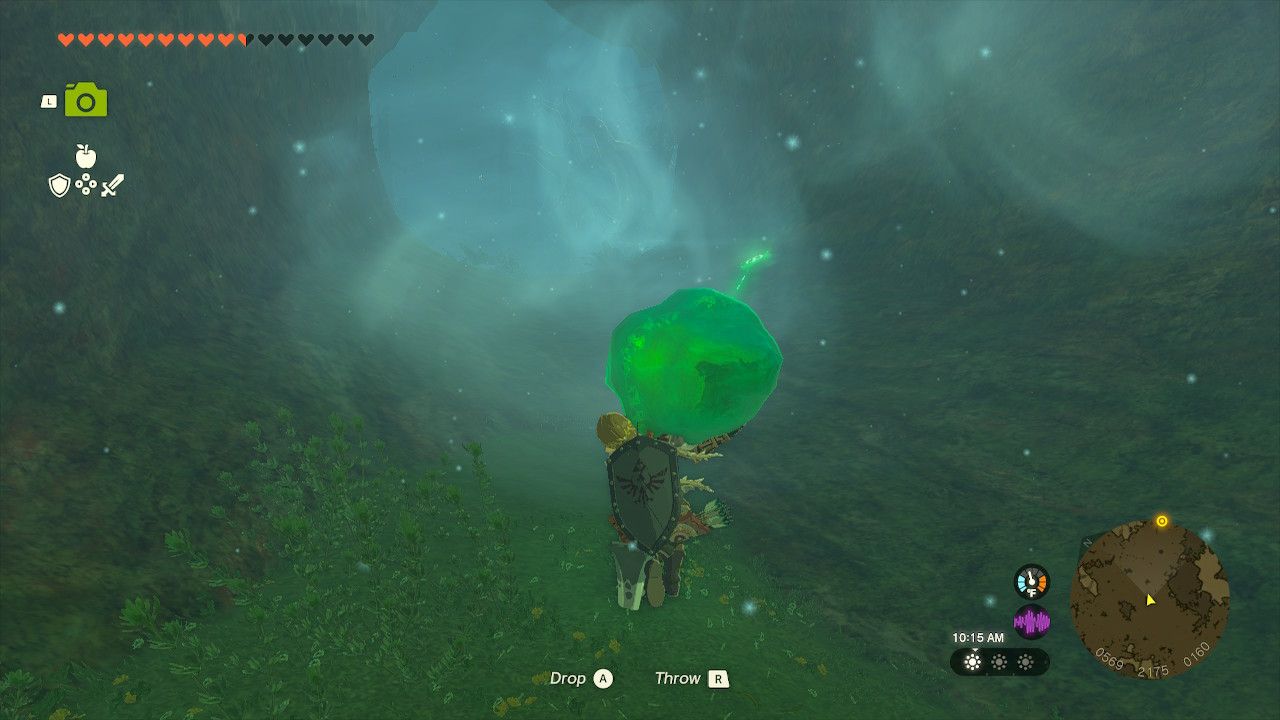Link Carries Korok Forest Crystal Toward Mido Swamp After Giving Apples