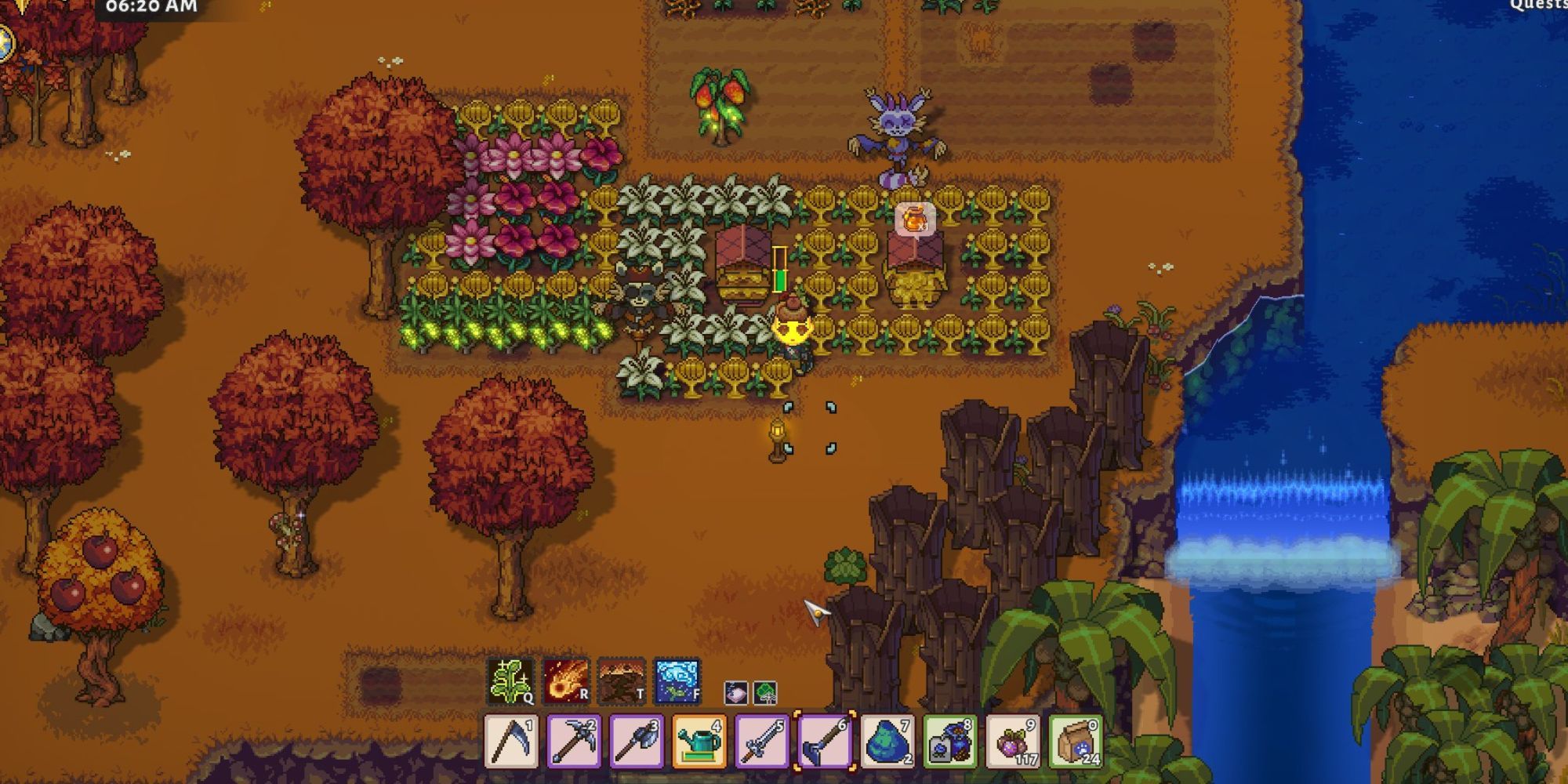 Various grown flowers surround bee boxes on the farm 
