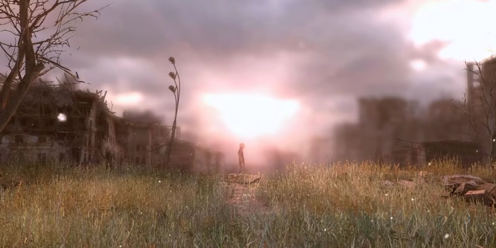 Metro: Last Light - The Baby Dark One In The Distance