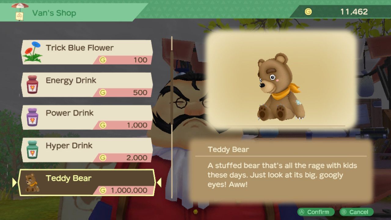 bear toy from van's store story of seasons a wonderful life van inventory