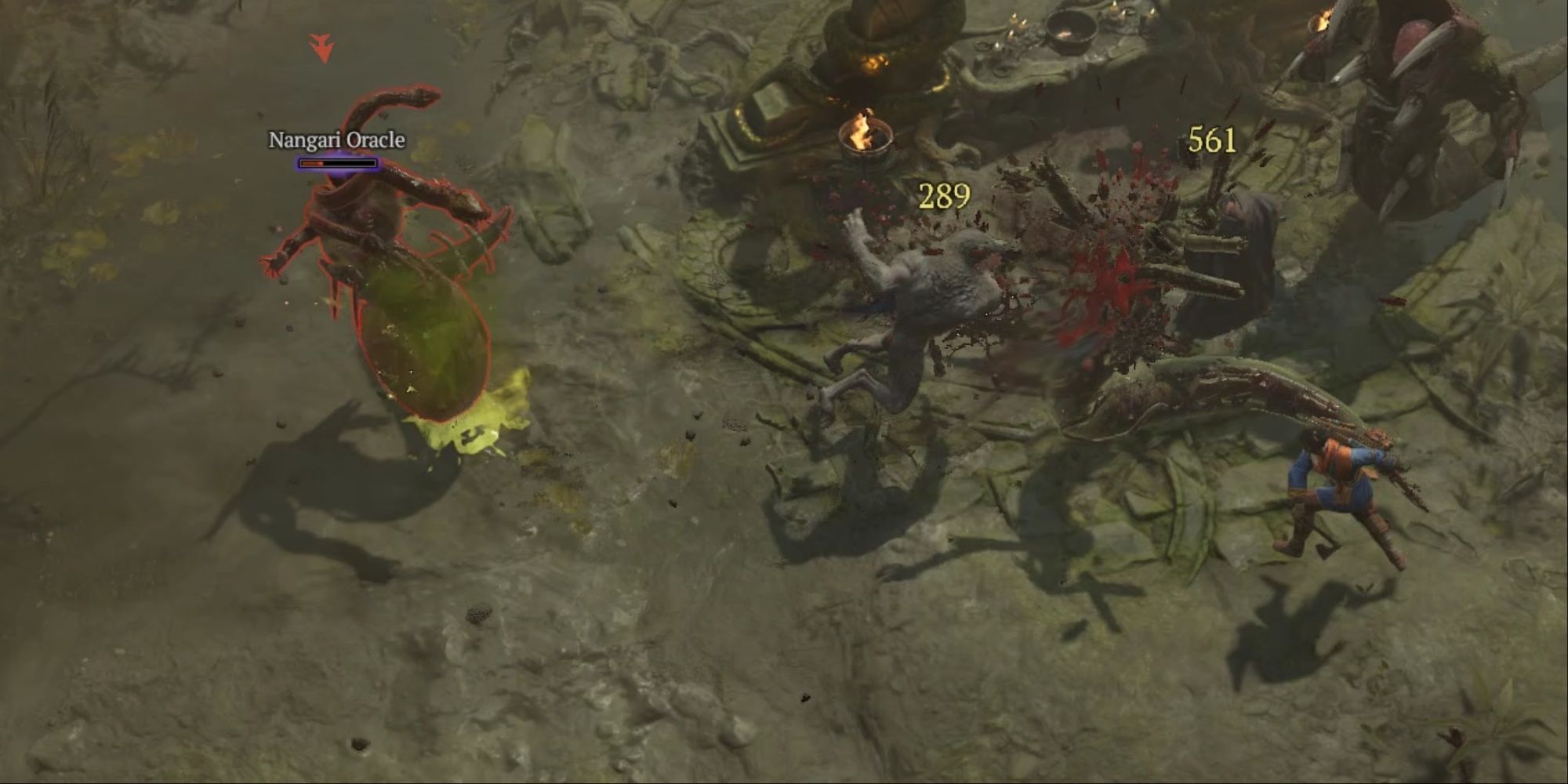 Diablo 4: A werewolf attacking creatures in the swamp