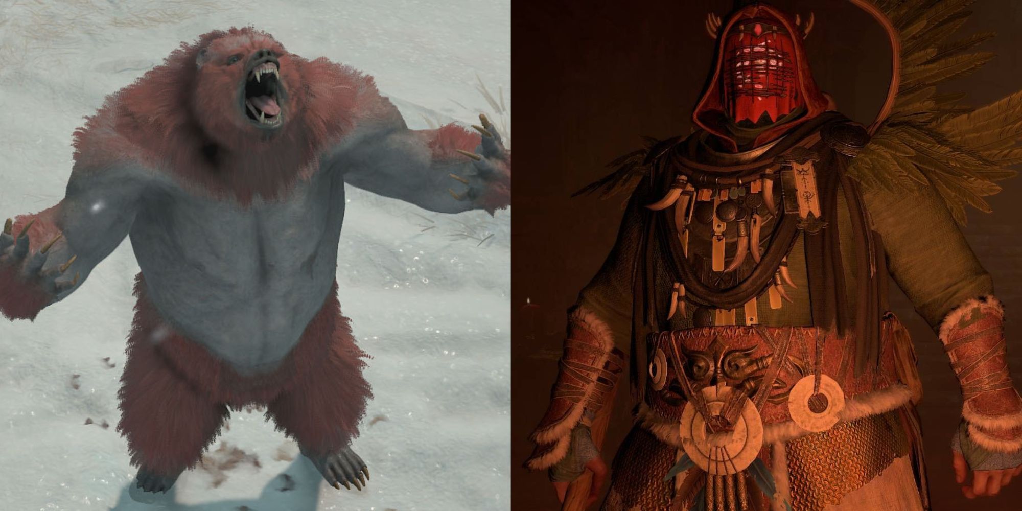 A collage featuring a Druid becoming a bear on the left and a fully equipped Druid on the right.
