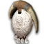 Diablo-4-Mount-Trophy-Shield-Of-Mount-Arreat