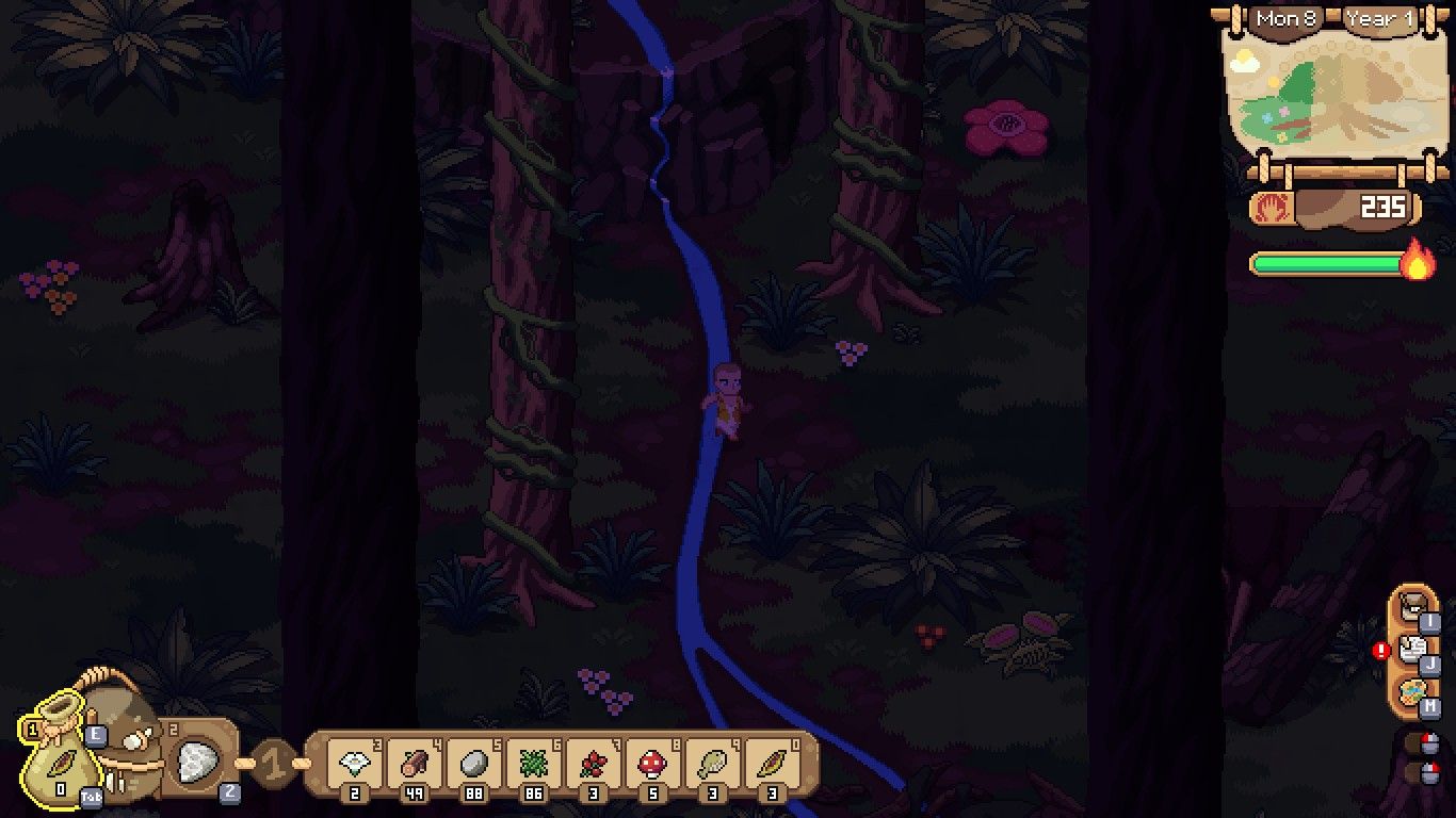 Exploring the jungle area near the village.