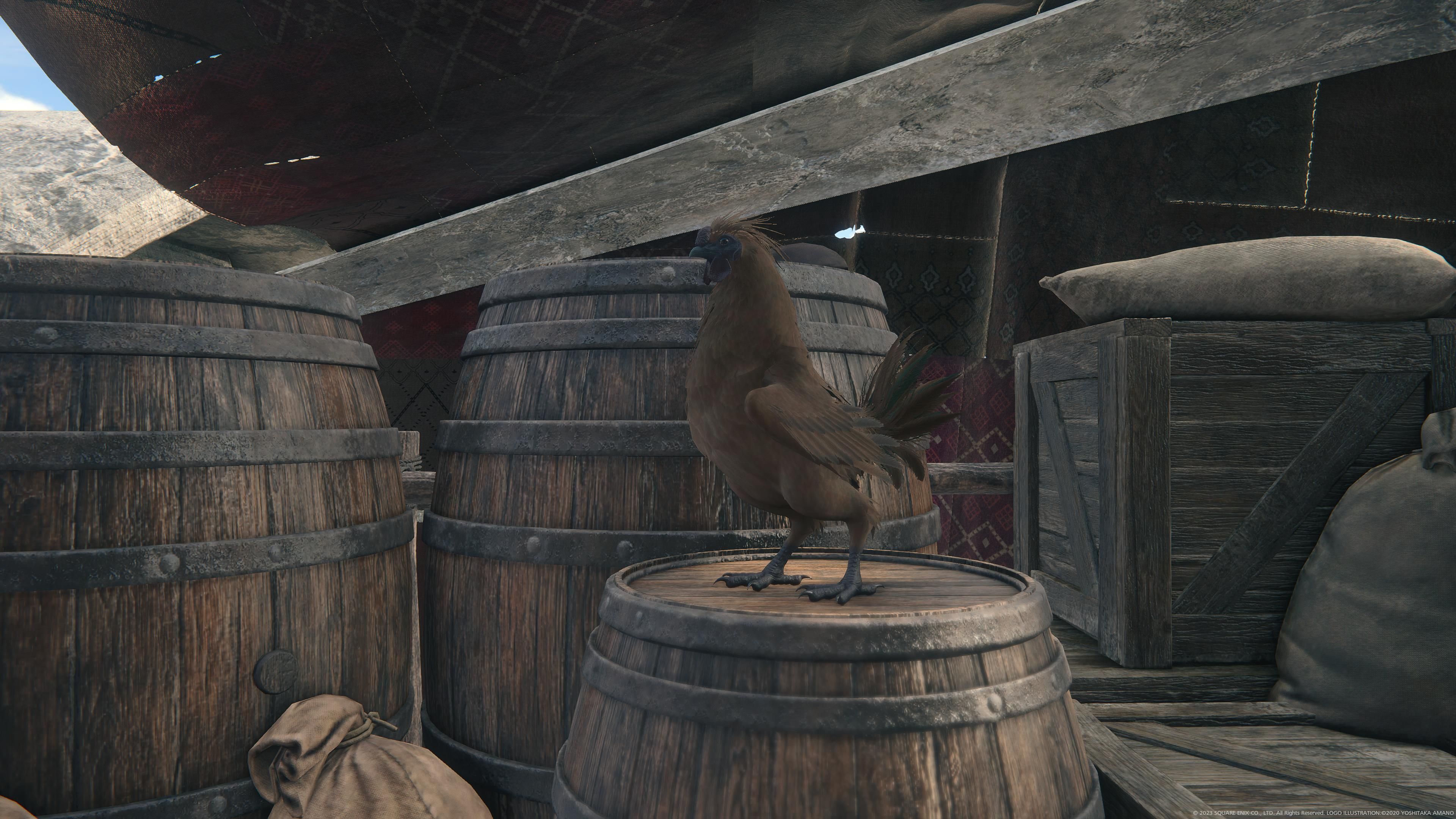 Final Fantasy 16 - A chicken