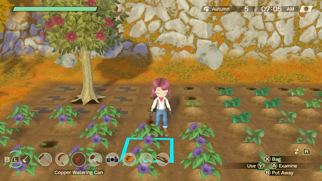 flowering fruit tree story of seasons a wonder