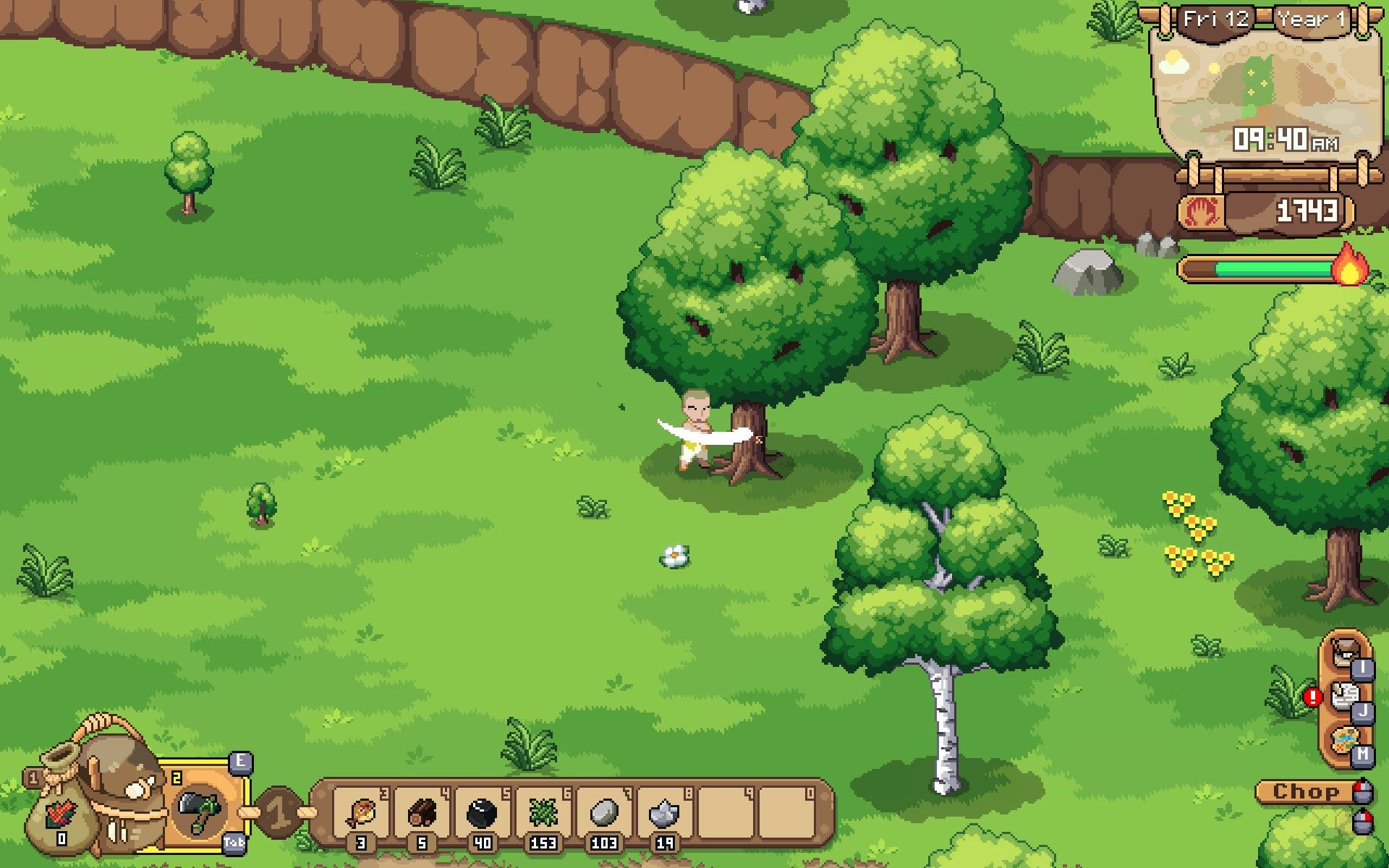 Giant oak tree in the village.