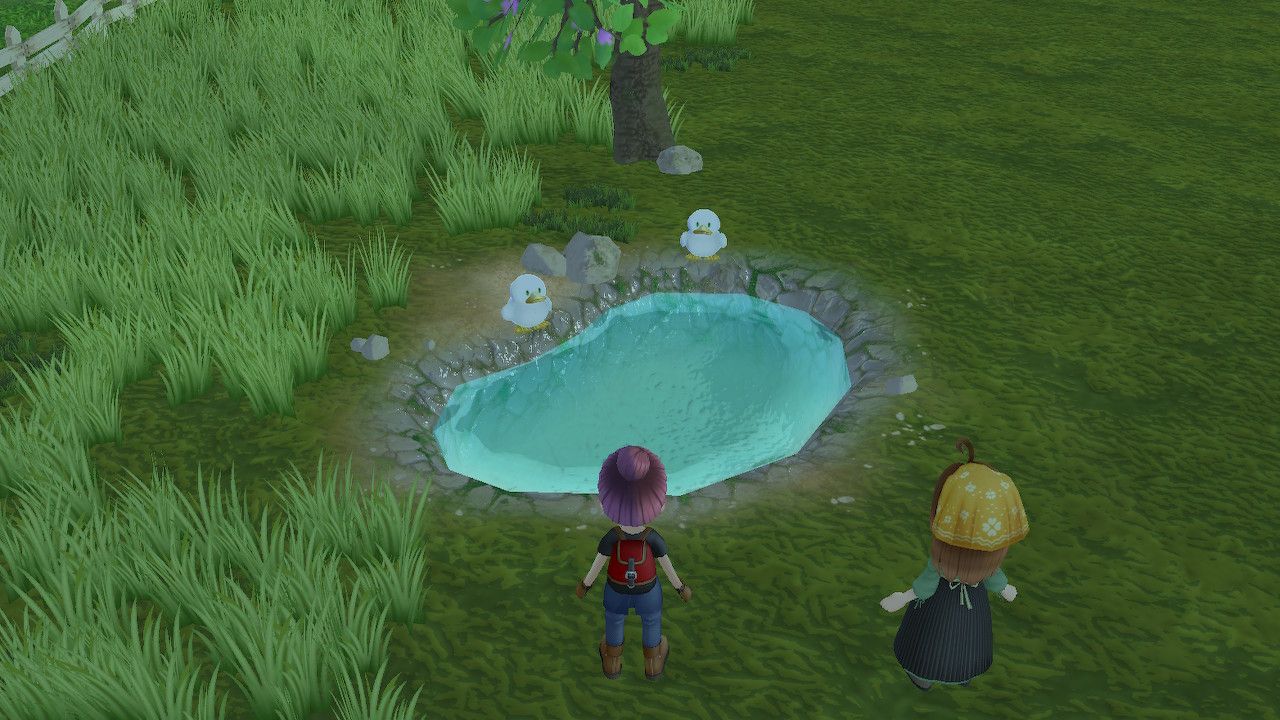 how to get ducks story of seasons a wonderful life livestock guide
