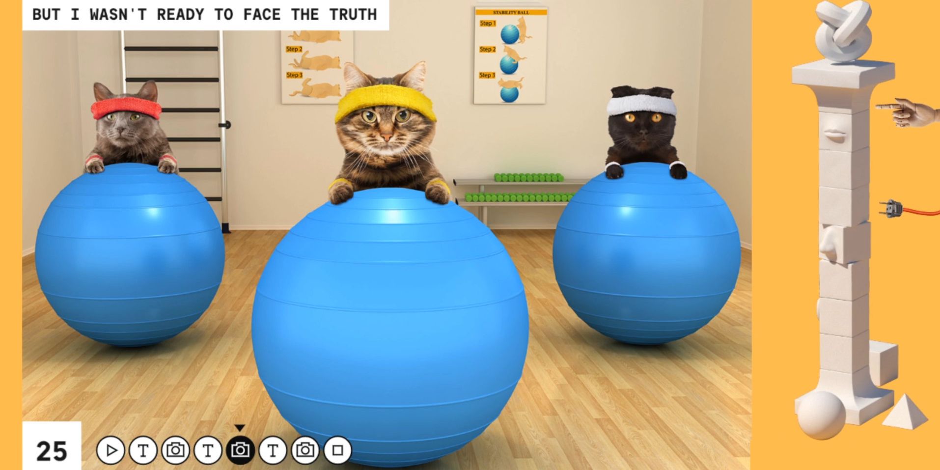 Talking Points presentation of cats over yoga balls with "I wasn't ready to face the truth" as the caption