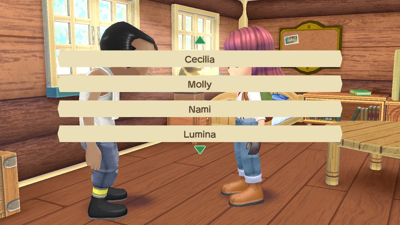 list of marriage candidates story of seasons a wonderful life all marriage candidates story of seasons a wonderful life guide
