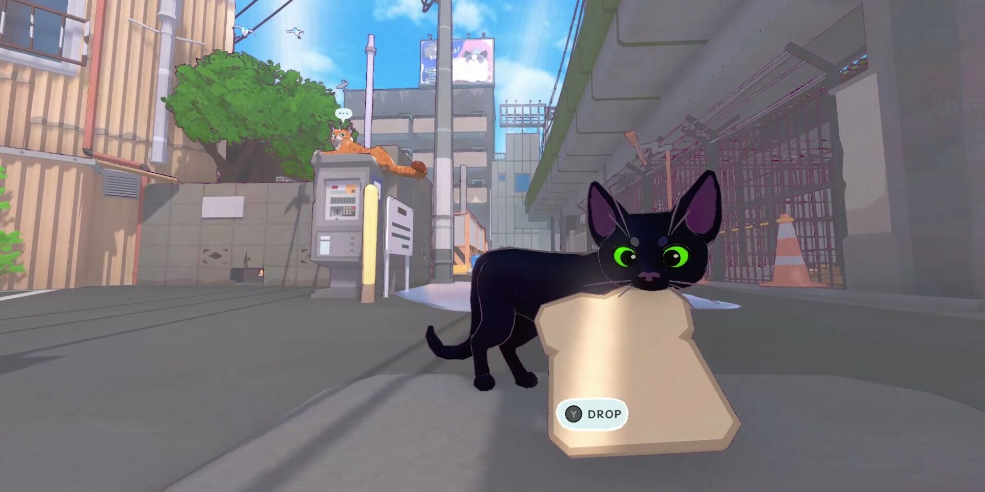 Little Kitty Big City