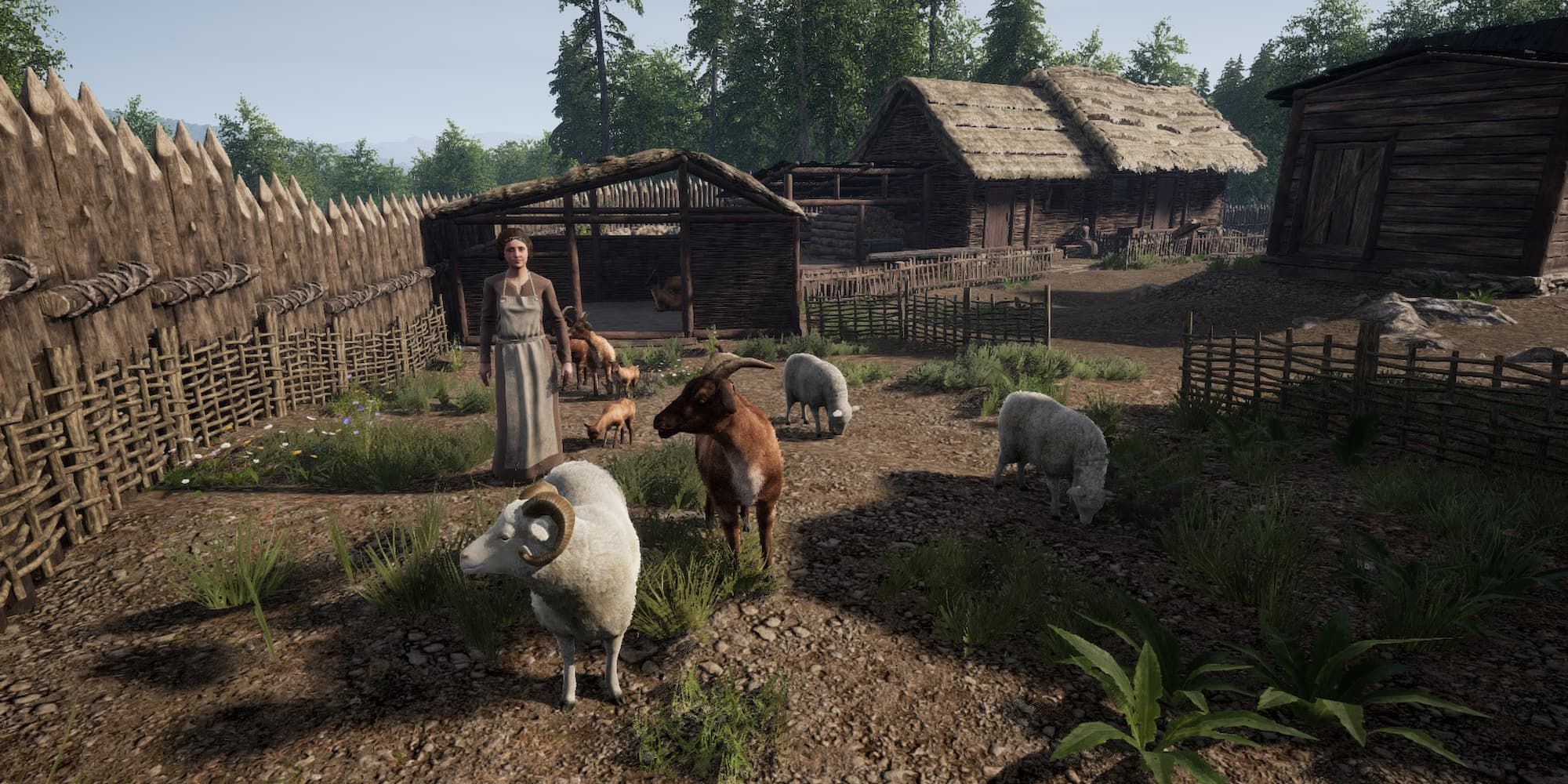 A woman stands near several goats on a farm in Medieval Dynasty.