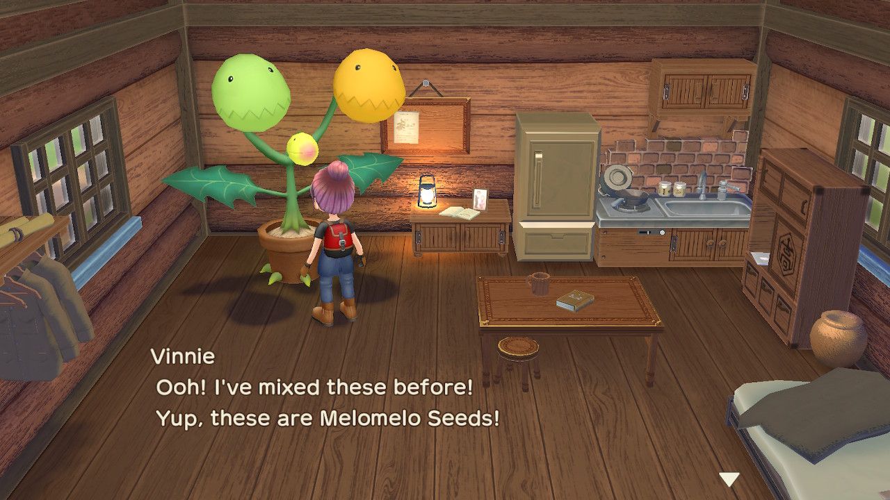 melomelo vinnie making a melomelo story of seasons a wonderful life most expensive crops