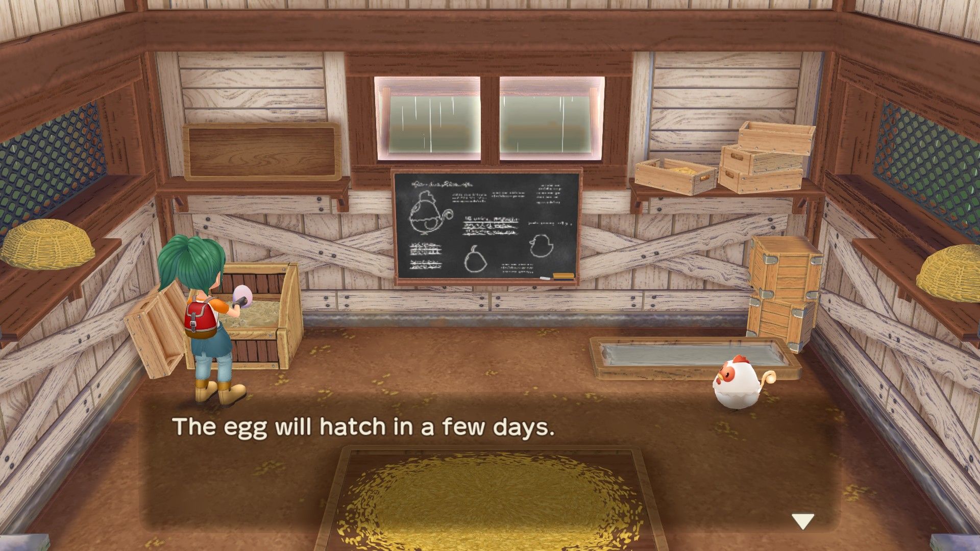 placing a fertilized egg into the incubator story of seasons a wonderful life how to breed animals livestock guide
